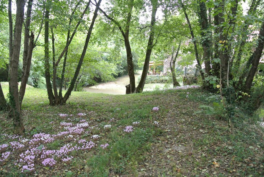 Moulin De Repassat Etape Voie Verte Bazens Экстерьер фото